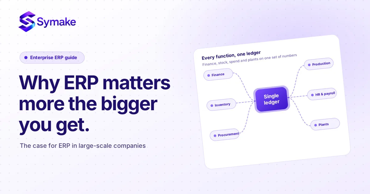 Why ERP Matters More the Bigger You Get: The Case for Large-Scale Companies